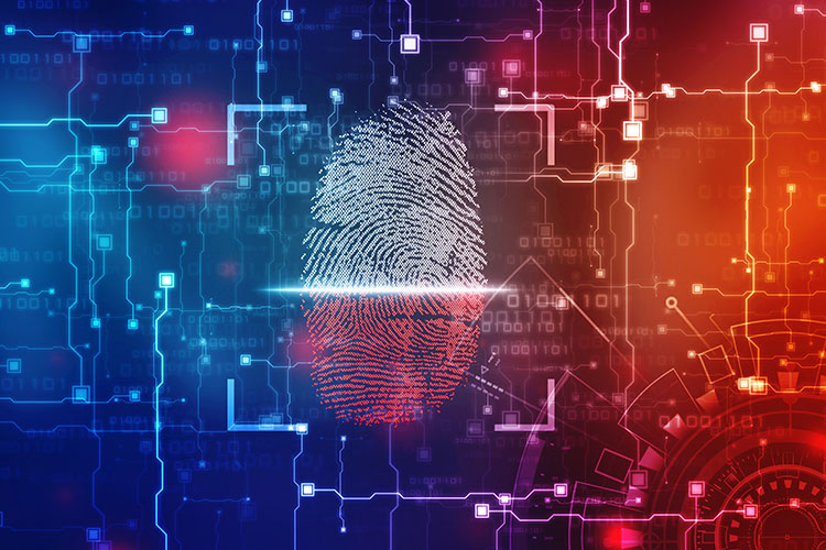 forensic animations