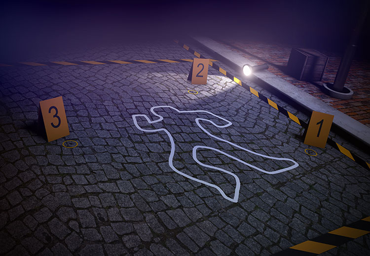 legal animations